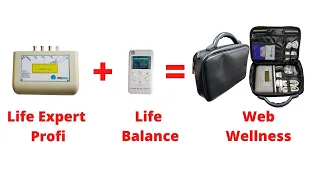 Life Expert Profi + Life Balance = WebWellness. Краткий обзор.