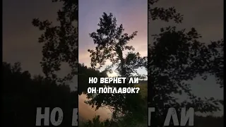 Кто такие рыбаки и что они ловят?