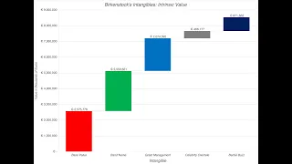 Invisible, but Invaluable: Valuing Intangibles - The Birkenstock IPO