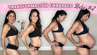 ¡Transformación Embarazo Semana a Semana!  I Bebé #2 (43 semanas)