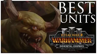 The BEST Units for Every Faction in Immortal Empires | Total War Warhammer 3