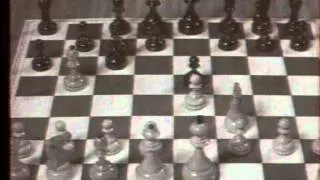 Тайны шахматных королей