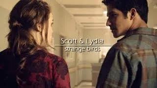 Scott & Lydia - Strange Birds