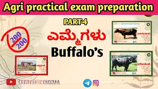 Part-4 Buffalo's | ಎಮ್ಮೆಗಳು |PRACTICAL EXAM |practical exam preparation #agri #practical_exam