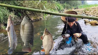 Phu used a large bamboo tree as a fishing rod and dug up earthworms as bait to catch many big fish.