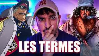 AMIRAL VS YC1! Pyo PENPEI s'est trompé? ONE PIECE 1087 AOKIJI VS SHIRYU!