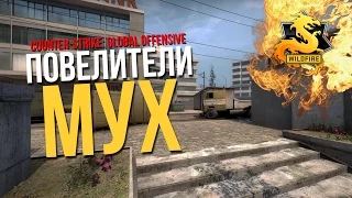 CS:GO Operation Wildfire: Повелители Мух