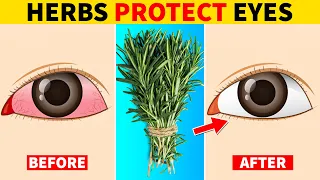 7 Herbs That Protect Eyes and Repair Vision