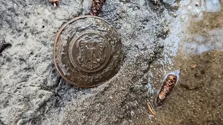 Эта находка ждала меня 76 лет! Коп по войне! Хабар есть! ww2 metal detecting!