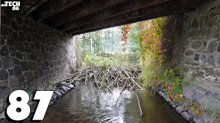 Beaver Dam Under The Bridge In Which Removal I Put A Lot Of Work - No.87