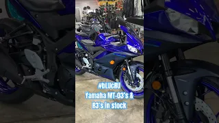 Yamaha R3’s and MT-03’s at Sport Durst