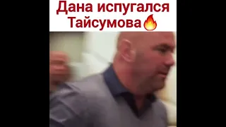 Дана вайт испугался Майрбека Тайсумова