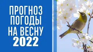 Какая погода ждет украинцев весной: народный синоптик сделал прогноз на каждый месяц