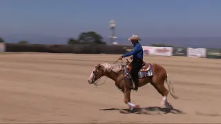 Modern Gun & Andrea Fappani - 2019 Reining by the Bay Open Derby Champions, score 231.5