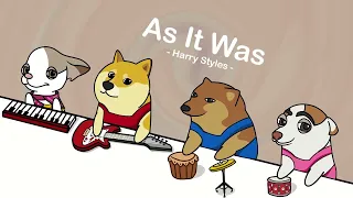 Harry Styles - As It Was (cover by Bongo Dog) 🐶