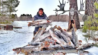 IT'S NOT A DREAM??? PIKE GO CRAZY! ROCK TOO! THERE IS A LOT OF FISH IN THE SWAMP! Fishing in Siberia