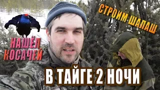 Поход в лес. Снежная тайга в мае. Тетеревиный ток.