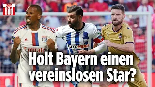 Personal-Not beim FC Bayern: Diese vereinslosen Stars könnte Bayern sofort holen | Reif ist Live