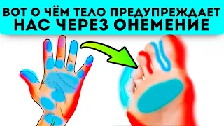 Наконец-то раскрыли! Онемение конечностей даёт нам сигнал об...