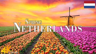 Spring Netherlands 4K Ultra HD • Stunning Footage, Scenic Relaxation Film with Calming Music.