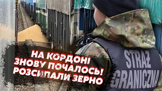 ❗️Щойно! Поляки РОЗНЕСЛИ наші ВАГОНИ на КОРДОНІ. Урожай РОЗСИПАЛИ. Вмикають СИРЕНИ. Експорт - ВСЕ?