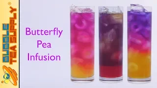 How to Make Butterfly Pea Infusion Base for Butterfly Pea Drinks