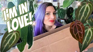 The HUGE Dream Rare Plant 🌱 UNBOXING Haul- I'm Still in Shock!😮