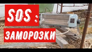 SOS: Заморозки