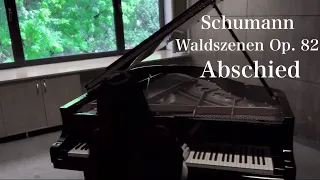 R. Schumann - Waldszenen (Forest Scenes) Op. 82 9. Abschied