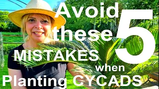 Tropical Gardens UK:  5 Mistakes to Avoid When Planting Exotic Sago Palms, Cycads - Cycas revoluta