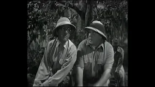 Joe Besser - Africa Screams (1949) - Joe Meets Shemp Howard