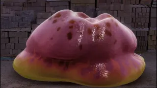 Meet 'Blob' (MW S01E16)