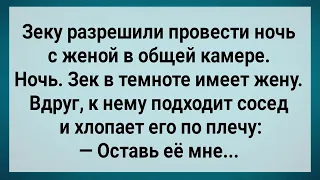 Зек Имеет Жену в Общей Камере! Сборник Свежих Анекдотов! Юмор!