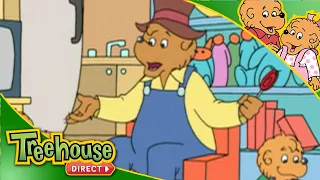 Berenstain Bears Father's Day Special | Best of Papa Bear PART 1