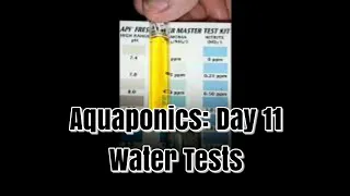 Aquaponics: Day 11 doing a pH, Ammonia, Nitrite & Nitrate tests