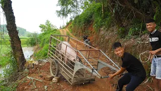 MỘT ĐÁM CƯỚI THẬT HOÀNH TRÁNG | Nhịp Sống Thường Ngày