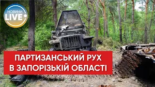 ❗️ Українські партизани почали активні дії в Запорізькій області