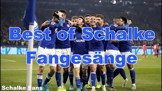 Best of Schalke Fangesänge! | Schalke Fans