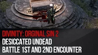 Divinity: Original Sin 2 - Desiccated Undead battle 1st and 2nd encounter