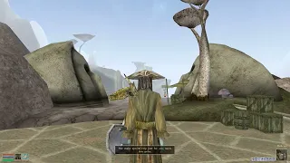 Talky Morrowind + Tamriel Rebuilt - Mainland Mages Guild - The Tower of the Enchantress