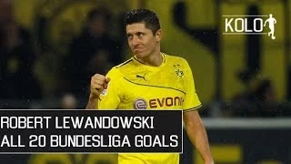 Robert Lewandowski ● All 20 Bundesliga Goals ● 2013/14 HD