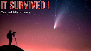 Watch Comet Nishimura Survives a Solar Storm that Disrupted its Tail! [Images]