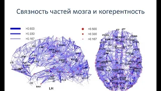 Квантование в мозге.  Часть 1