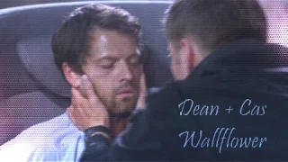 Dean+Cas - Wallflower [AU]