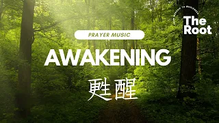 Awakening 甦醒 | 等候神音樂 Prayer Music | Soaking Music | Music Healing | Instrumental Music | The Root