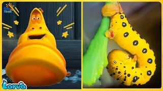 LARVA COMPILATION 2022 : YELLOW'S BROTHER | NEW COMEDY VIDEO 2022 | THE BEST OF CARTOON BOX