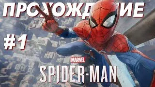 Spider - Man прохождение (часть #1) | PS4 максимальная сложность