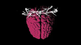 ПРОБЛЕМА ВОСКРЕШЁННОГО МОЗГА | рубрика ВЖУХ | книга The Idea of the Brain