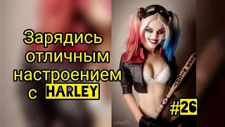 Лучшие приколы до слёз 2020 от Harley #26 НОЯБРЬ