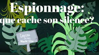 🧐 🔭Espionnage 🤔 Que cache le silence de cette personne? 3 choix ~intemporel